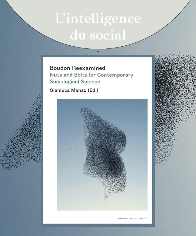 bandeau-boudon-reexamined
